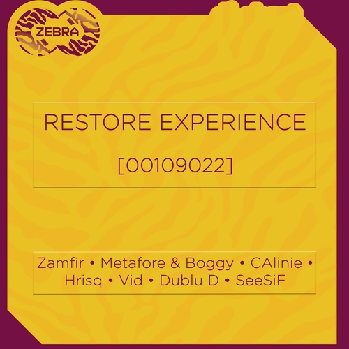 VA - Restore Experience [00109022]
